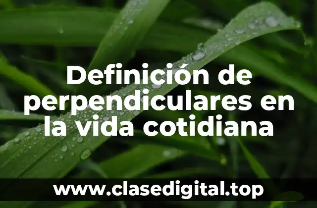 Definición de perpendiculares en la vida cotidiana