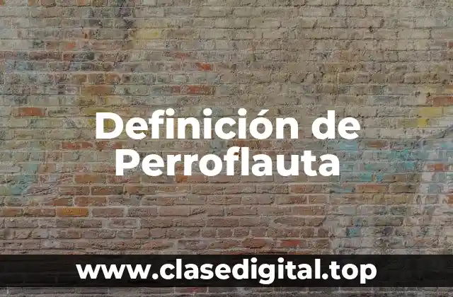 Definición de Perroflauta