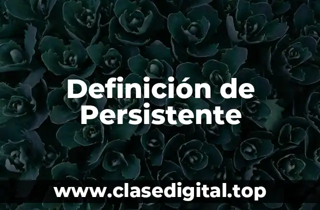 Definición de Persistente