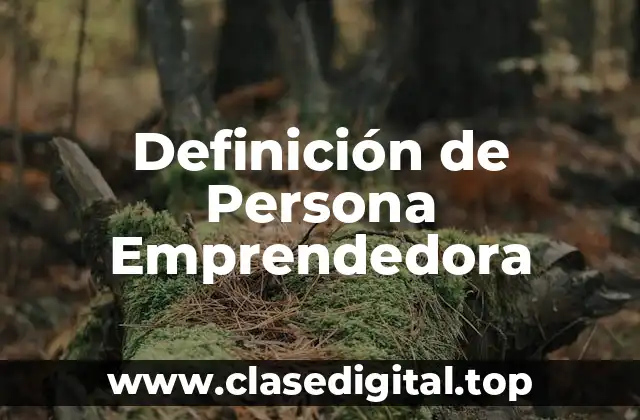 Definición de Persona Emprendedora