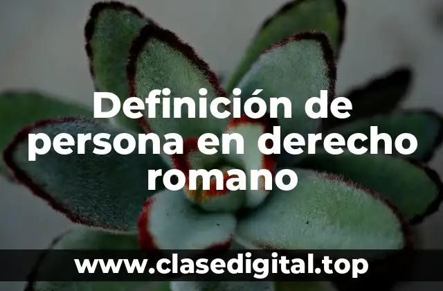 Definición de persona en derecho romano
