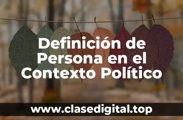 Definición Técnica de Persona en el Contexto Político
