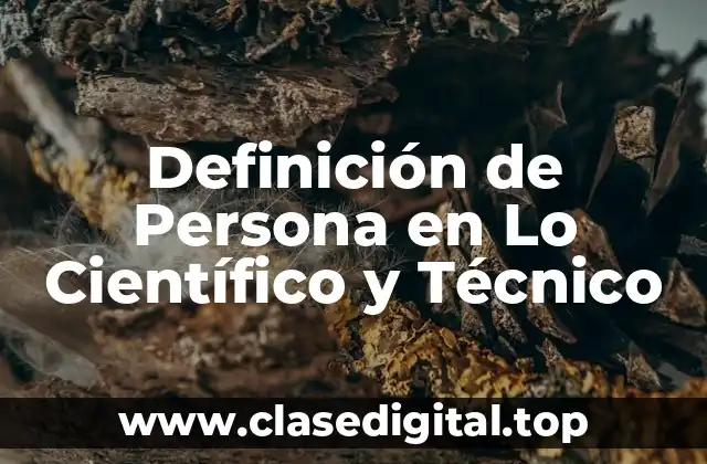 Definición de Persona en Lo Científico y Técnico