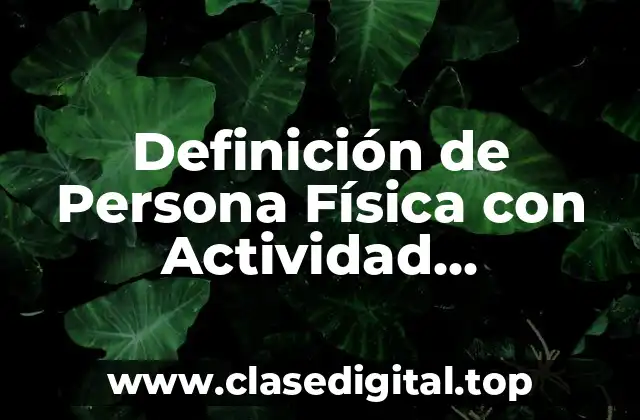 Definición de Persona Física con Actividad Empresarial