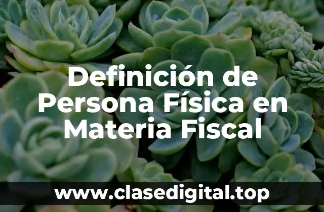 Definición de Persona Física en Materia Fiscal