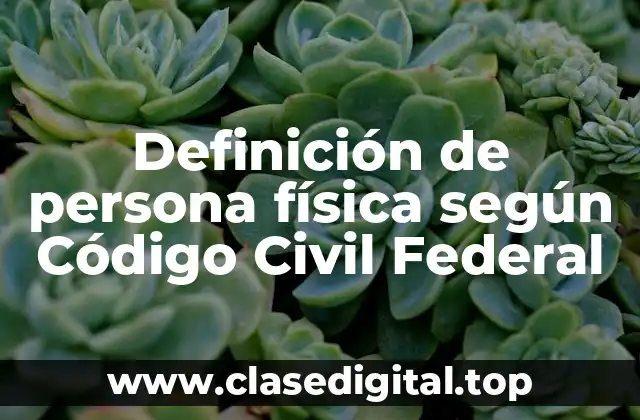 Definición de persona física según Código Civil Federal