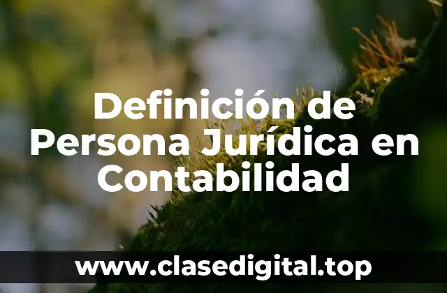 Definición de Persona Jurídica en Contabilidad