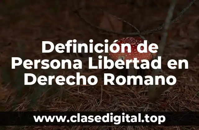 Definición de Persona Libertad en Derecho Romano