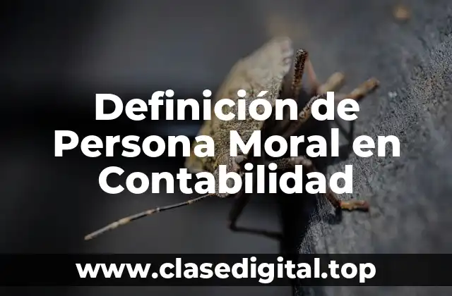 Definición de Persona Moral en Contabilidad