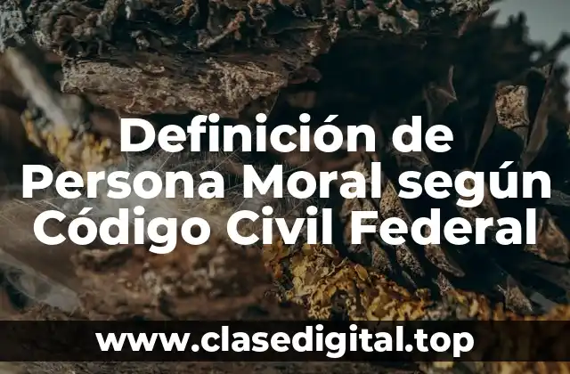 Definición de Persona Moral según Código Civil Federal