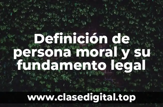 Definición técnica de persona moral
