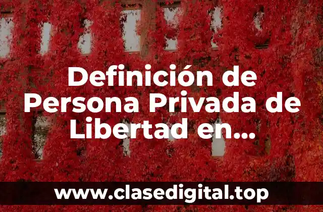 Definición de Persona Privada de Libertad en Criminología