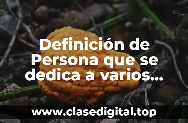 Definición de Persona que se dedica a varios oficios
