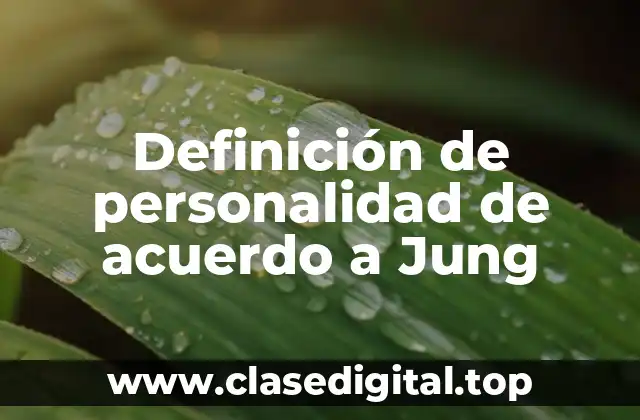 Definición de personalidad de acuerdo a Jung