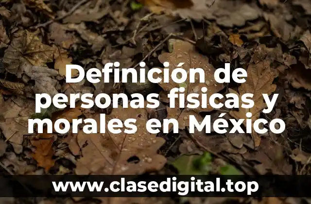 Definición de personas fisicas y morales en México