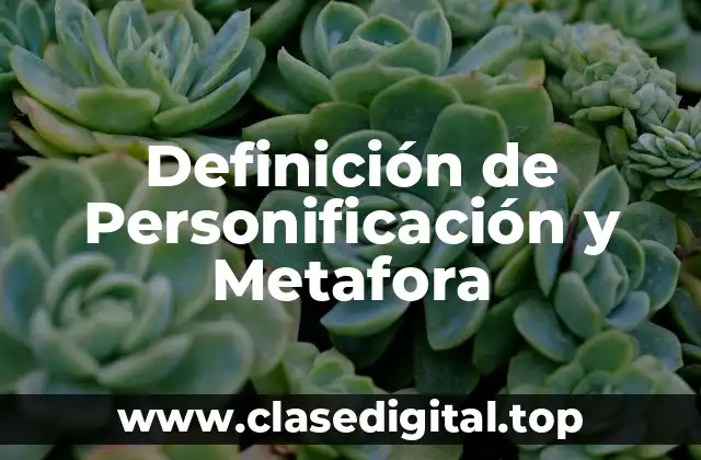 Definición de Personificación y Metafora