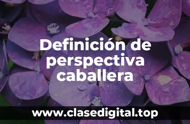 Definición técnica de perspectiva caballera