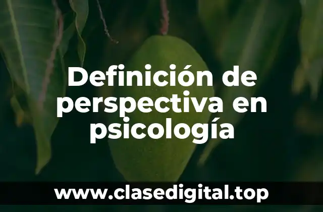 Definición de perspectiva en psicología