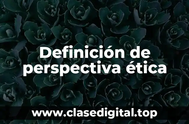 Definición de perspectiva ética