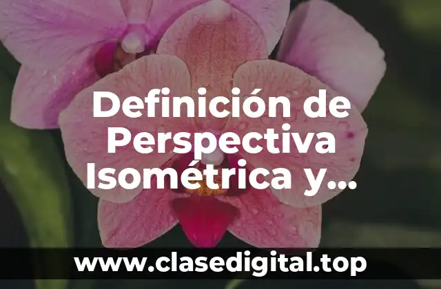 Definición de Perspectiva Isométrica y Caballera