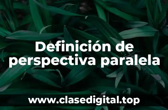 Definición de perspectiva paralela
