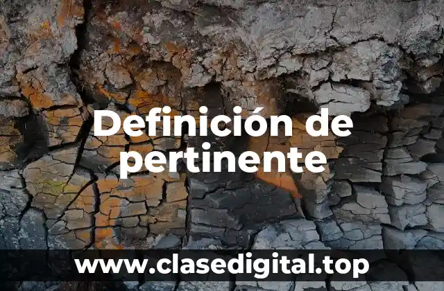 Ejemplos de pertinente