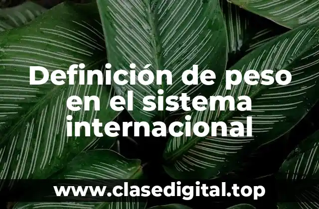 Definición de peso en el sistema internacional