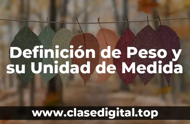 Definición de Peso y su Unidad de Medida