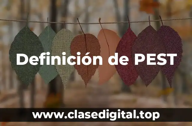 Definición de PEST