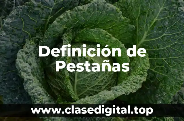 Definición de Pestañas