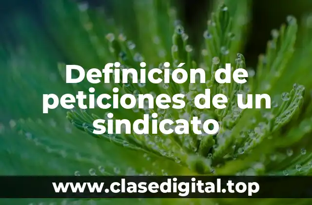 Ejemplos de peticiones de un sindicato