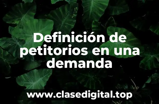 Definición de petitorios en una demanda