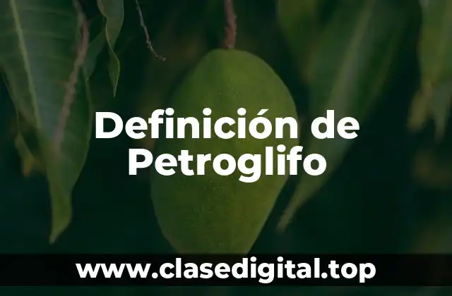 Definición de Petroglifo