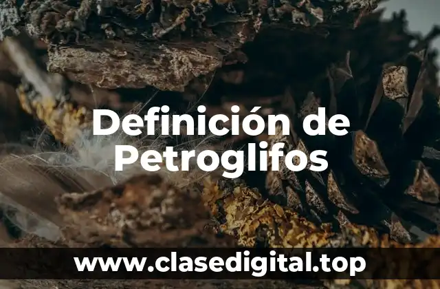 Definición de Petroglifos