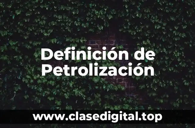 Definición de Petrolización