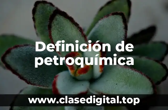 Ejemplos de petroquímica