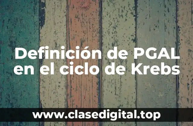 Definición de PGAL en el ciclo de Krebs