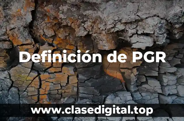 Definición de PGR