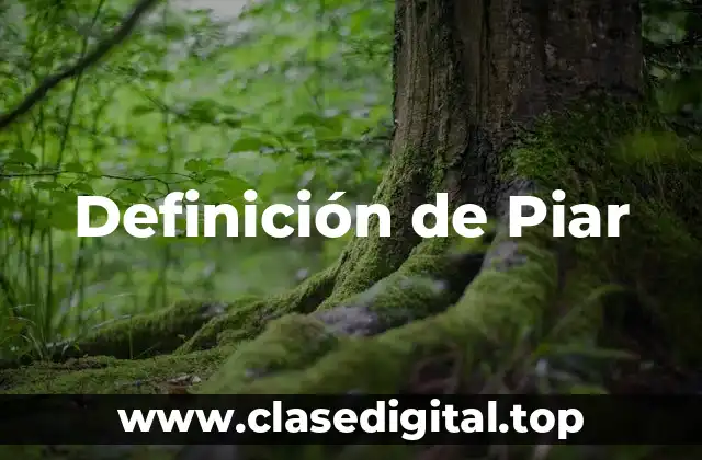 Definición de Piar