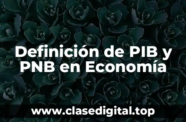 Definición técnica de PIB