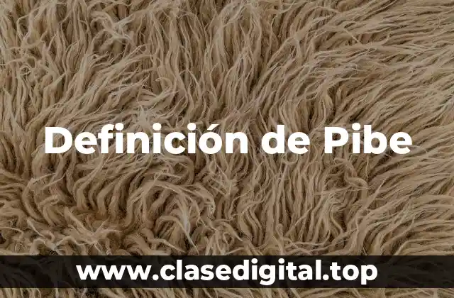 Definición de Pibe