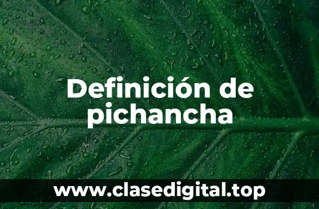 Definición de pichancha