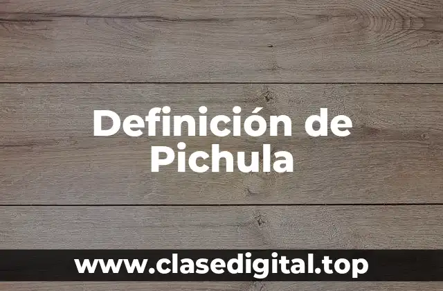 Definición de Pichula