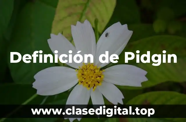 Definición de Pidgin