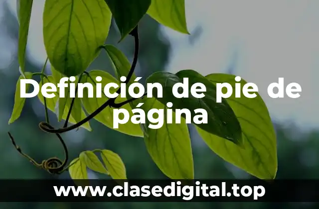 Definición de pie de página