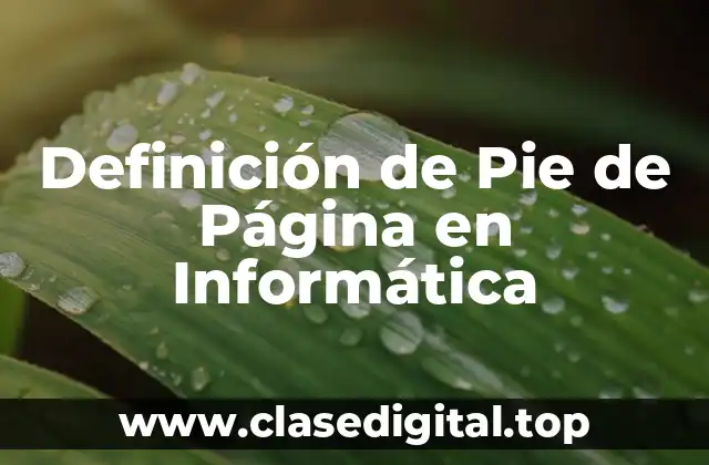 Definición Técnica de Pie de Página