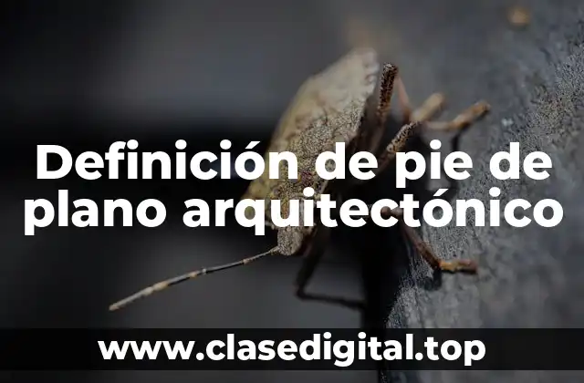 Definición de pie de plano arquitectónico