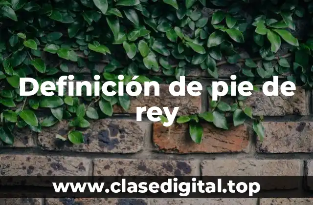 Definición de pie de rey