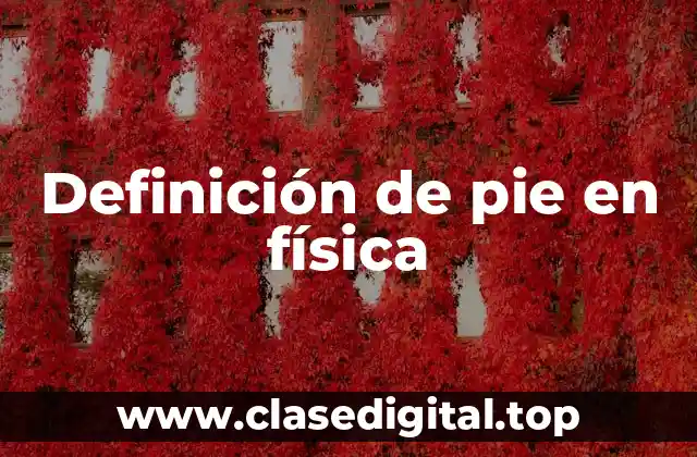 Definición técnica de pie en física