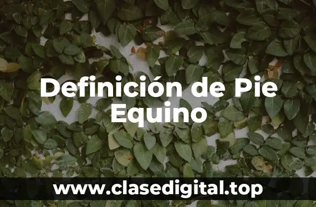 Definición de Pie Equino